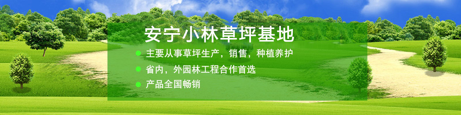 云南小林草坪批发「云南草坪自产自销」云南最大的草坪种植基地